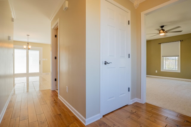 corridor with ornamental molding, light hardwood / wood-style flooring, and a chandelier