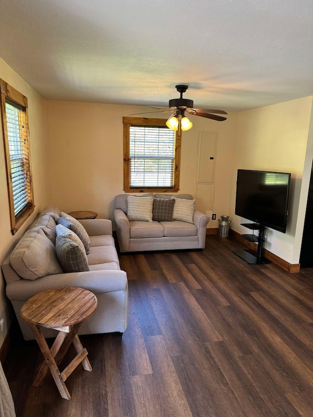 living room with ceiling fan and dark hardwood / wood-style flooring