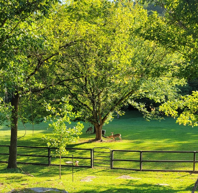 surrounding community featuring a yard