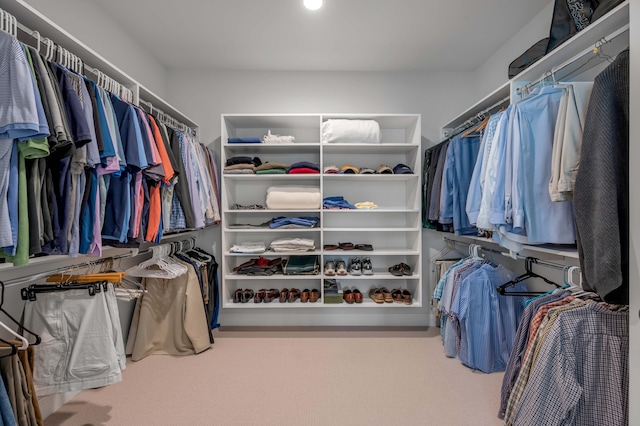 spacious closet with carpet floors