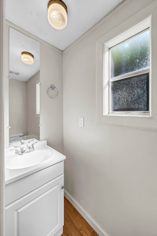 bathroom featuring vanity and hardwood / wood-style flooring