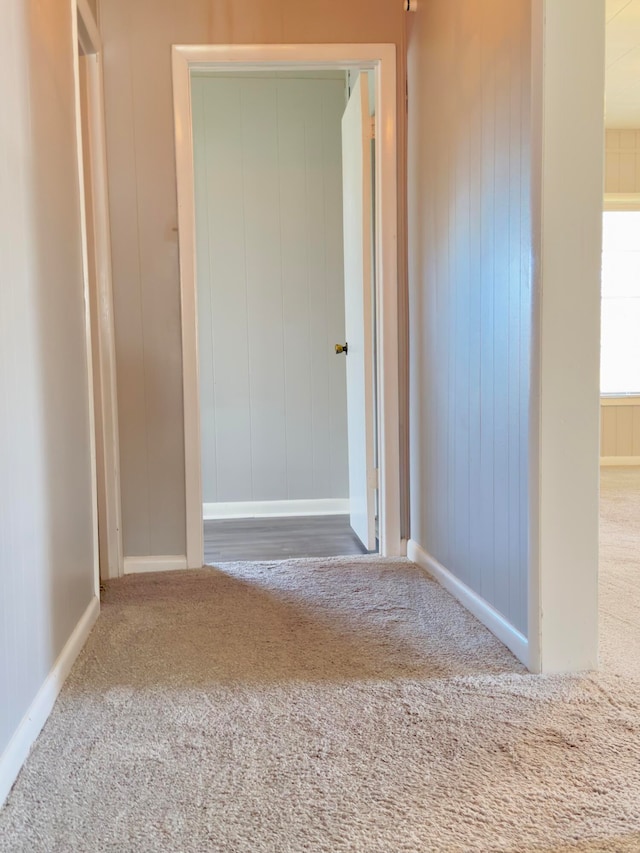 hall featuring wood walls and carpet flooring