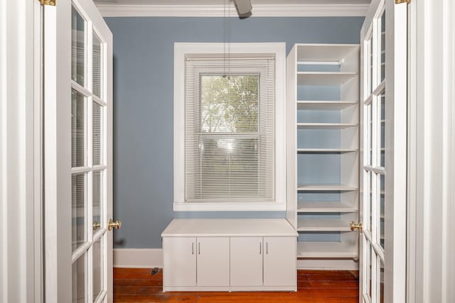 spacious closet featuring dark wood-type flooring