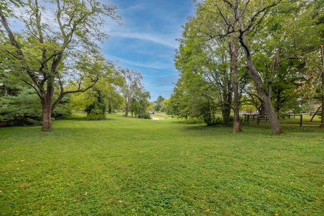 view of yard