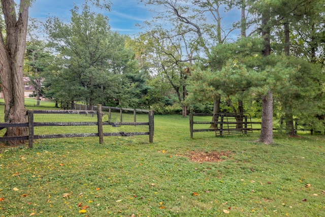 view of yard with a rural view