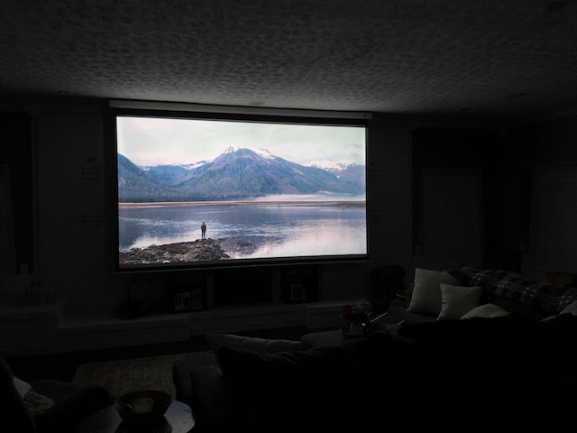 home theater room featuring a textured ceiling and a wealth of natural light