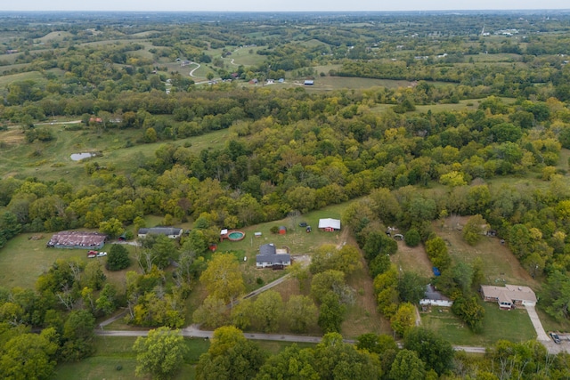 bird's eye view