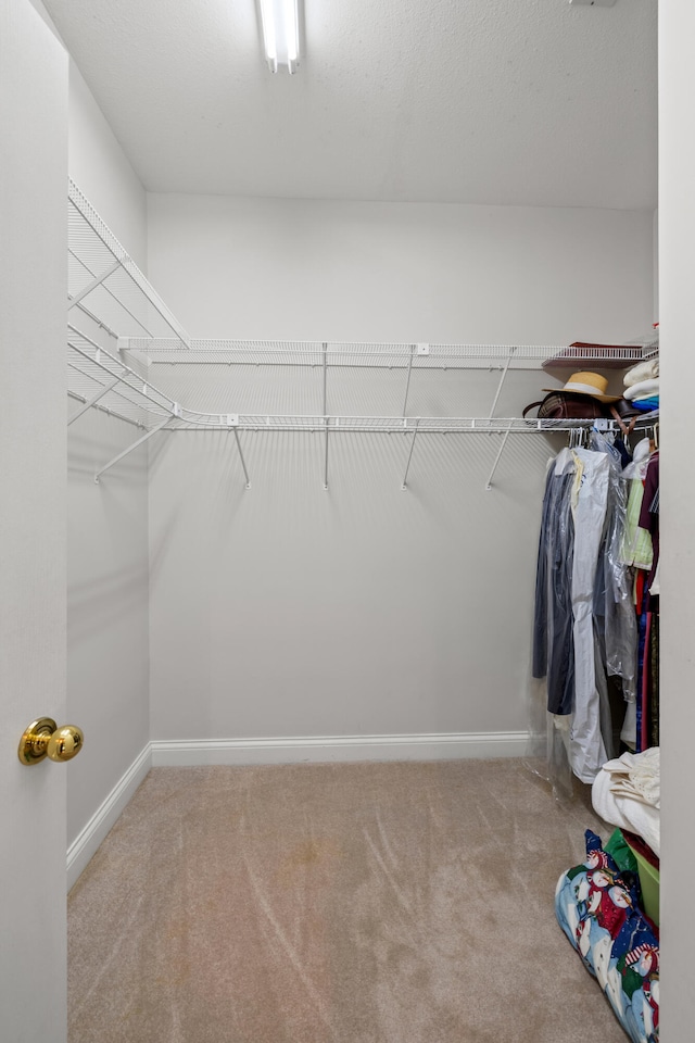 walk in closet featuring carpet flooring