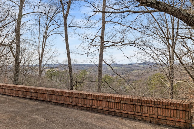 property view of mountains