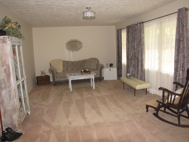 living room featuring a textured ceiling and light colored carpet