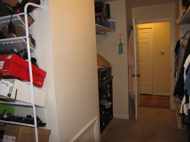 spacious closet with carpet floors