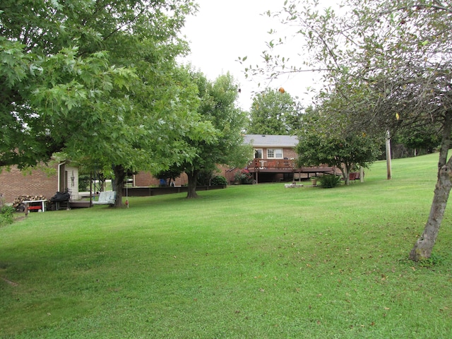 view of yard featuring a wooden deck