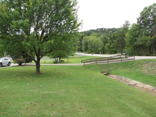 view of home's community with a lawn