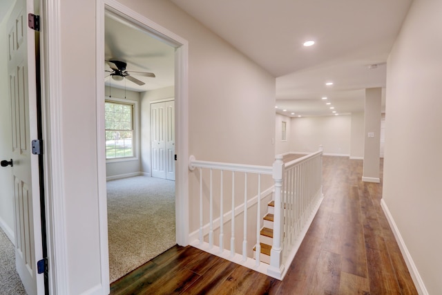 hallway featuring dark hardwood / wood-style flooring