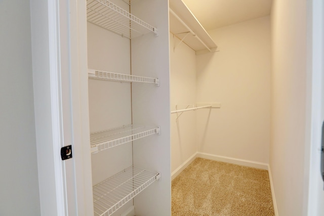 spacious closet with carpet floors