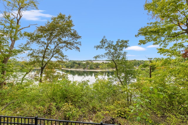 706 Hunter Dr, Lancaster, KY 40444 - property view of water