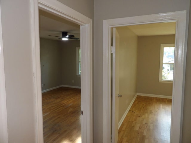 corridor featuring light hardwood / wood-style floors