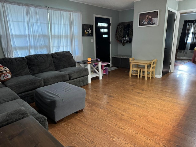 living room with wood-type flooring