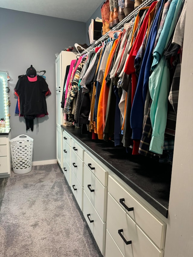 spacious closet with light carpet