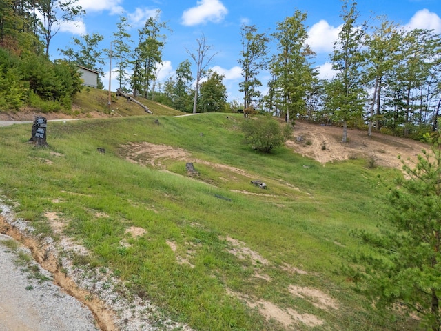 90 Damy Ln, Campton, KY 41301 - view of yard