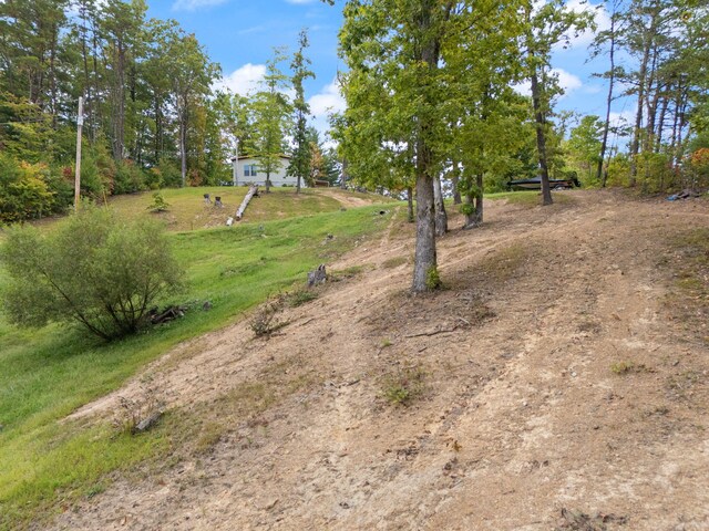 90 Damy Ln, Campton, KY 41301 - view of yard
