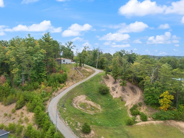 90 Damy Ln, Campton, KY 41301 - drone / aerial view of a forest