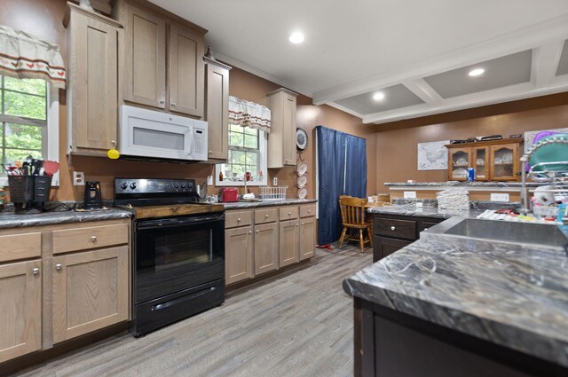 90 Damy Ln, Campton, KY 41301 - kitchen featuring white microwave, black / electric stove, light wood finished floors, coffered ceiling, and recessed lighting
