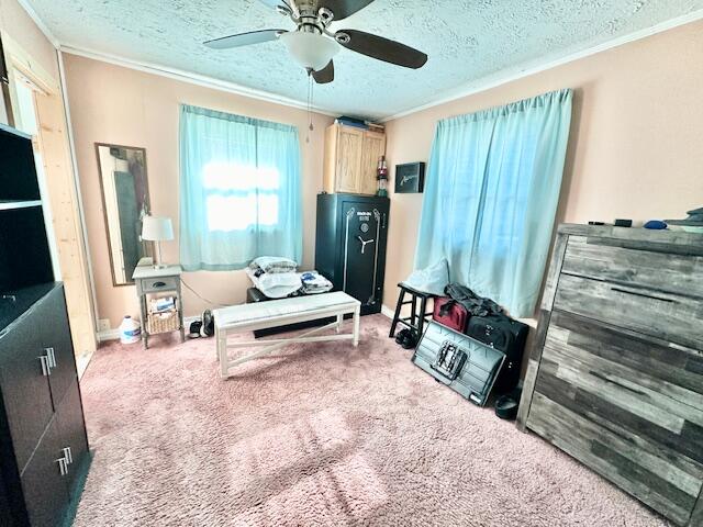 miscellaneous room featuring a textured ceiling, ceiling fan, and carpet floors