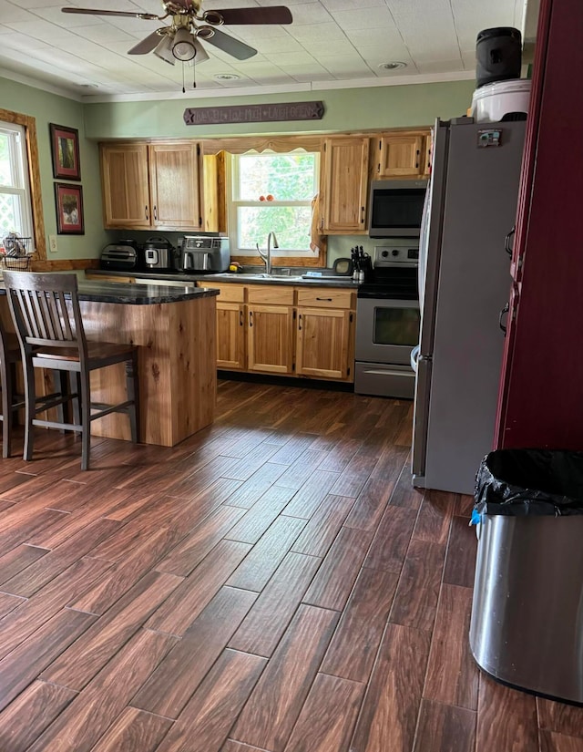 kitchen featuring a kitchen breakfast bar, ceiling fan, stainless steel appliances, and a wealth of natural light