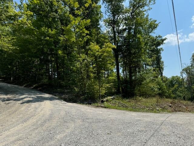 LOTS1-4 Dixie Bend Rd, Burnside KY, 42519 land for sale