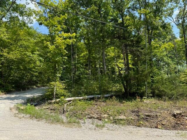 Listing photo 2 for LOTS1-4 Dixie Bend Rd, Burnside KY 42519