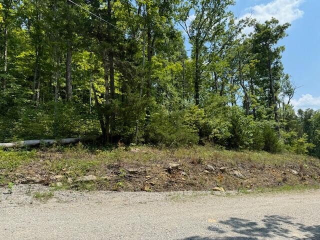 Listing photo 3 for LOTS1-4 Dixie Bend Rd, Burnside KY 42519