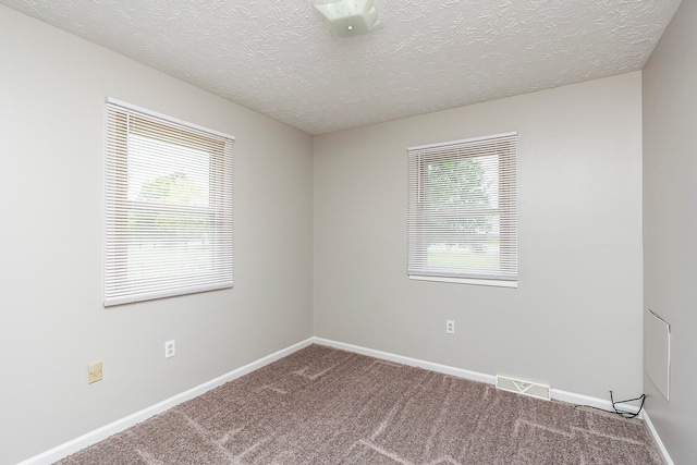 spare room featuring a textured ceiling, carpet flooring, and a wealth of natural light