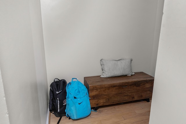 interior space featuring light hardwood / wood-style floors