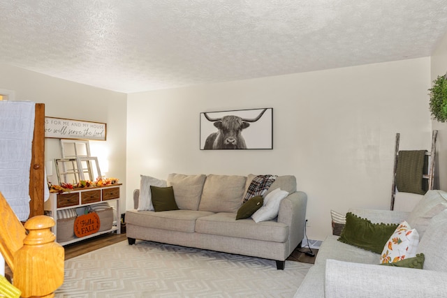 living room featuring a textured ceiling and light hardwood / wood-style floors