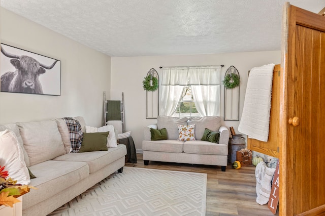 living room with a textured ceiling and light hardwood / wood-style flooring