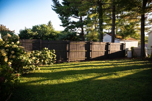 view of yard