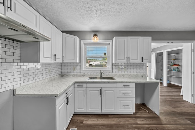 kitchen featuring tasteful backsplash, dark hardwood / wood-style flooring, sink, and white cabinets