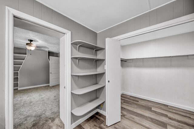 walk in closet featuring wood-type flooring