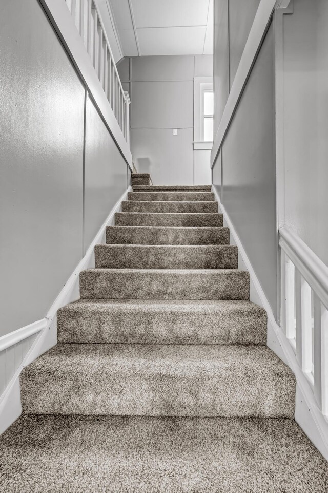 staircase with carpet