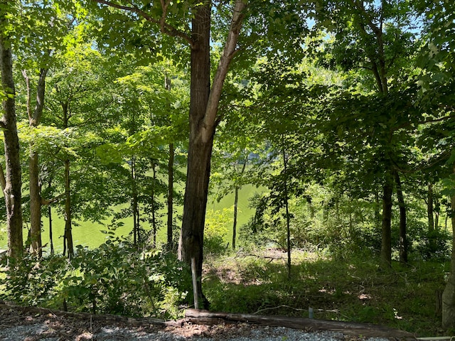 Listing photo 3 for LOT3 Bryants Camp Rd, Lancaster KY 40444