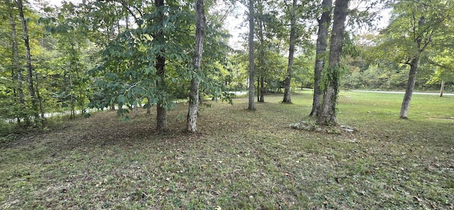 1835 Echo Point Rd, Bronston, KY 42518 - view of green lawn