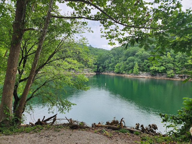 1835 Echo Point Rd, Bronston, KY 42518 - water view featuring a heavily wooded area