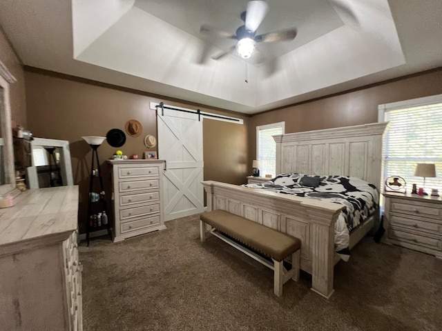 carpeted bedroom with a tray ceiling, multiple windows, and a barn door