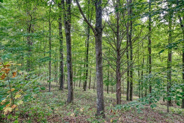 15 Oak Leaf Ln, Albany, KY 42602 - view of landscape