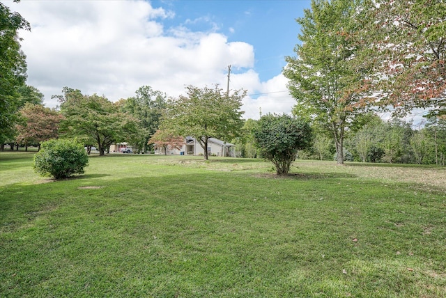 15 Oak Leaf Ln, Albany, KY 42602 - view of yard