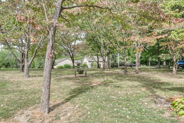 15 Oak Leaf Ln, Albany, KY 42602 - view of yard