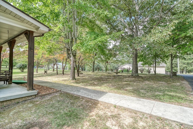 15 Oak Leaf Ln, Albany, KY 42602 - view of yard