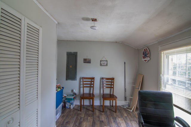 interior space with lofted ceiling, electric panel, and dark hardwood / wood-style flooring