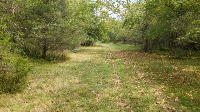 view of landscape